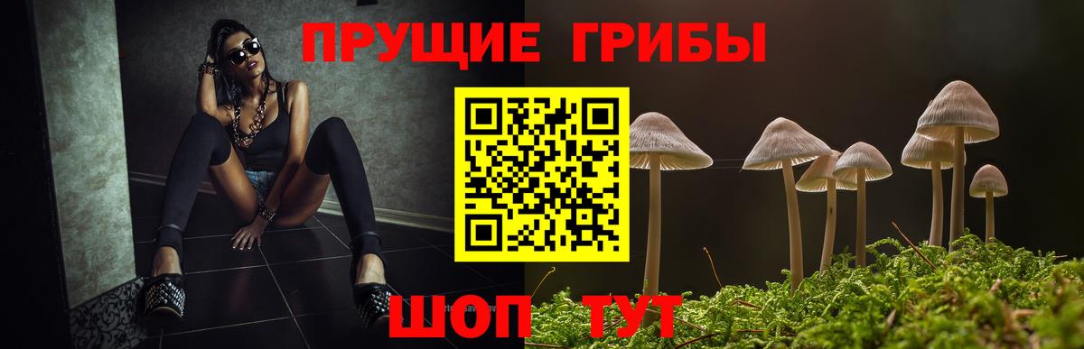 Грозный  Псилоцибиновые грибы GOLDEN TEACHER  Вход с VPN 